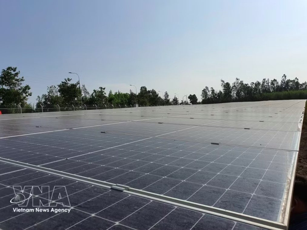 Vietnam emerges as bright spot of adaptation amid global turbulence